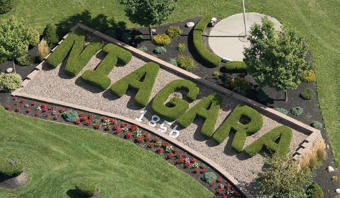 Niagara at a Glance