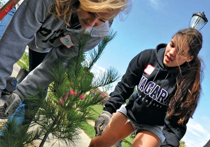 A Vincentian Tradition of Service