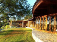 House Photo