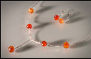 Amalia in Carnelian